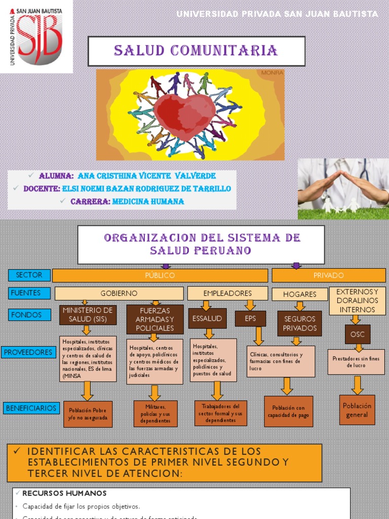 Organización del Sistema de Salud Peruano | PDF | Hospital | Cuidado de ...