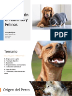 Caninos y Felinos 2022