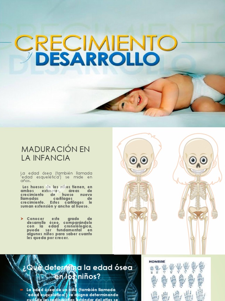 Concepto Edad Osea y Dental | PDF | Hueso | Pubertad