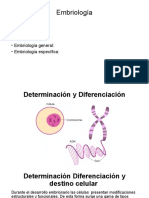 Determinación y Diferenciación Celular