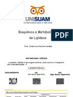 Aula de Apolipoproteínas Metab 2019