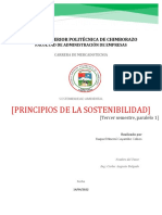 Principios de La Sostenibilidad