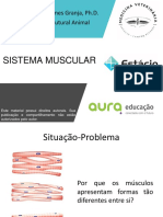 Aula 07 - Sistema Muscular