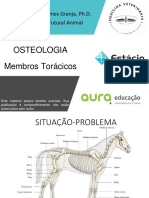 AULA - 04 - OSTEOLOGIA - Membros - Tora - Cicos 2