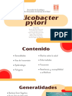 Helicobacter Pylori