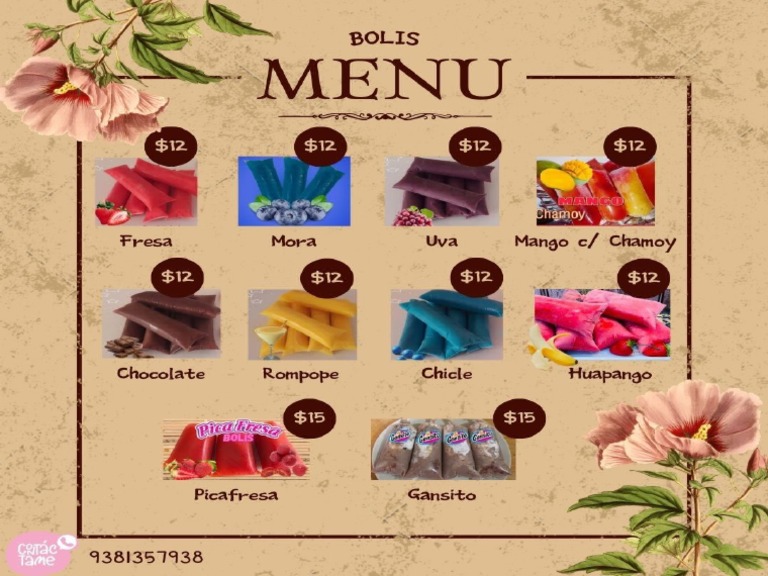 Flyer Bolis | PDF