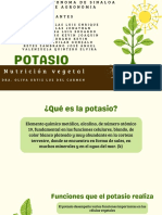 POTASIOS