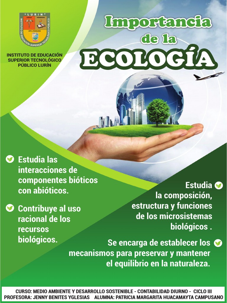 Innovaciones Ecológicas en Xcaret: 6 acciones para reducir el plástico  desechable, image size:768x1024