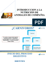 Nutrición en Animales de Compañia