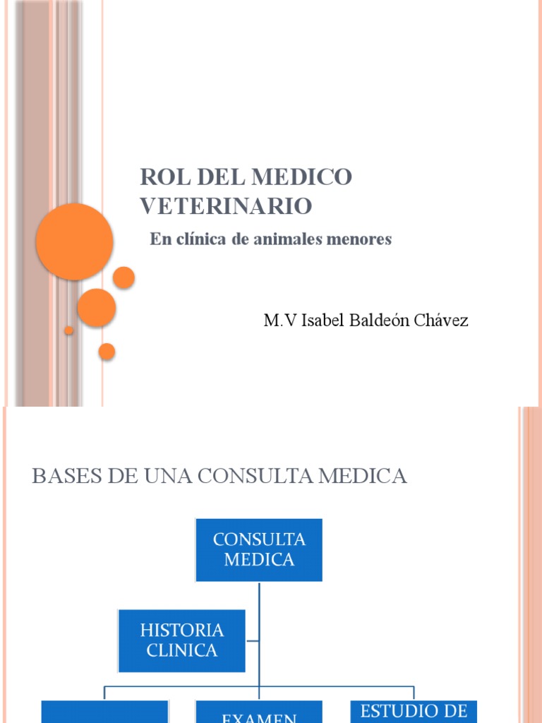 Rol del Médico Veterinario en Clínica | PDF | Historial médico | Mascota