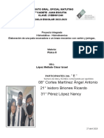 Infografia y Proyecto de Fisica II