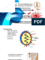 G8 - Virus Sincitial Respiratorio