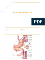 Metabolismo de Compostos Azotados 16-17