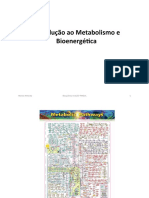 Introducao_ao_metabolismo_e_introducao_e_bioenergetica_16-17