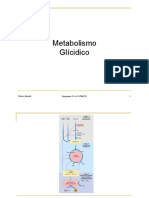 Metabolismo_glicidico_