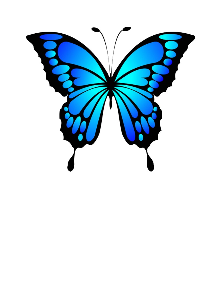 Butterfly | PDF