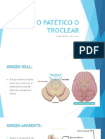 4º PAR O PATÉTICO O TROCLEAR- POMA VARGAS JULIO CESAR