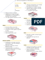 Lesões Fundamentais e Sistema Linfático - Monitoria de Propedeutica