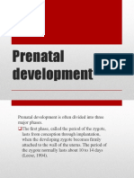 3prenatal Development