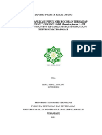 Revisi Laporan PKL - Dina Bunga Istiani - 11980224286 - Agroteknologi