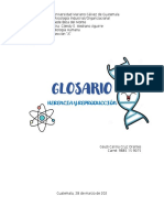 GLOSARIO