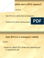 Lecture4 Vectors