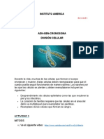 Biología Ii - Guía 1 - Actividad 3