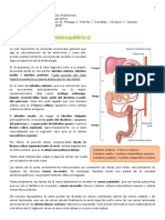 Irrigación Abdominopélvica