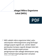 Nasi Basi Sebagai Mikro Organisme Lokal (MOL