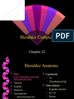 Chpt22shd (1) Shoulder