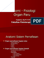 Anatomi - Fisiologi Organ Paru-1