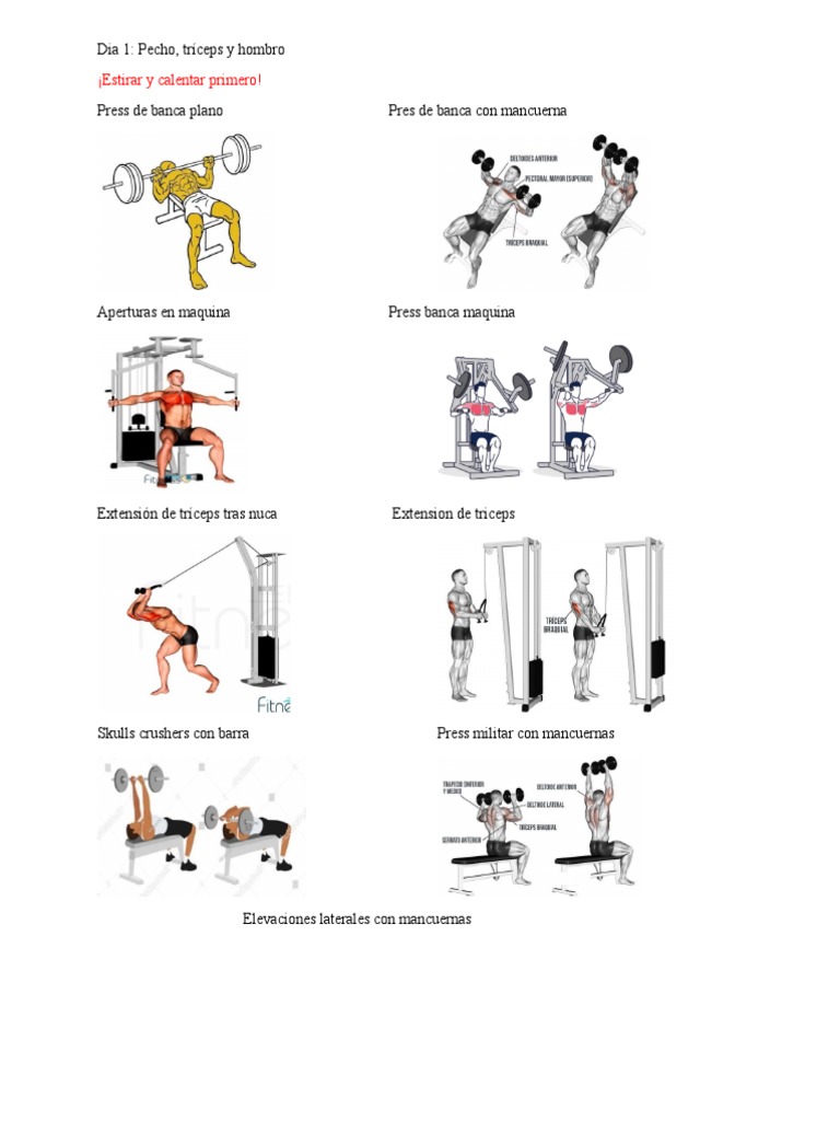 Rutina de Gym: Pecho, Pierna y Espalda | PDF