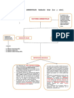 Organizador - Factores Ambientales.