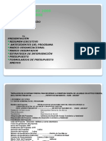 PLAN OPERATIVO 2009-MODELO