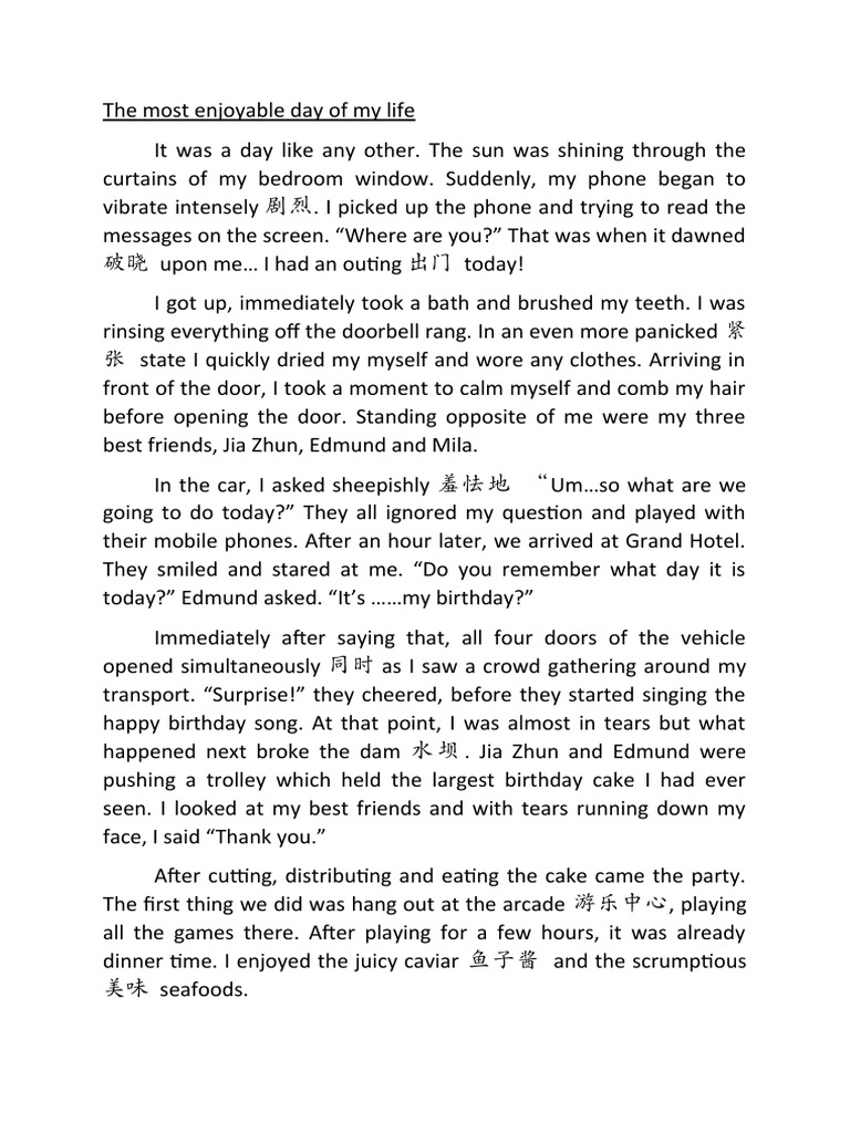 My Most Enjoyable Birthday Celebration | PDF