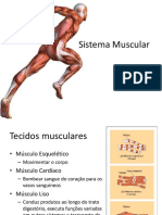Sistema Muscular Alunos