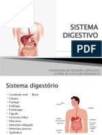 Sistema Digestivo