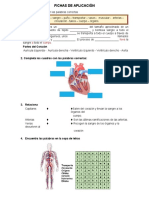 Ficha Ciencia Miercoles 24