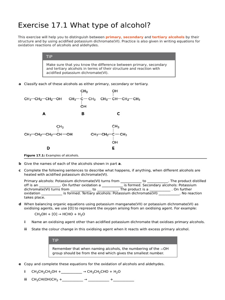 Worksheet Chapter 17 Alcohols Pdf Ethanol Combustion