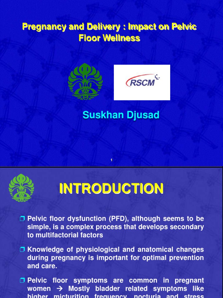 Dr. SuskhanPIT HUGIdr Suskhan PDF Urinary Incontinence Childbirth