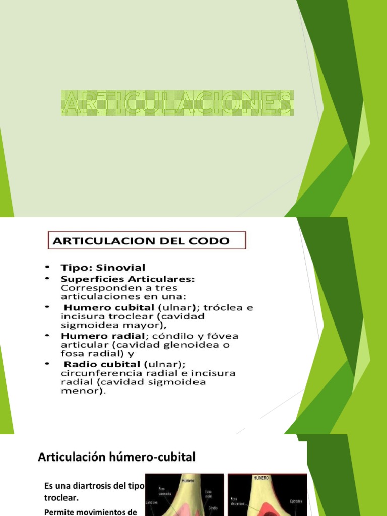 Codo Expo | PDF | Articulación | Codo