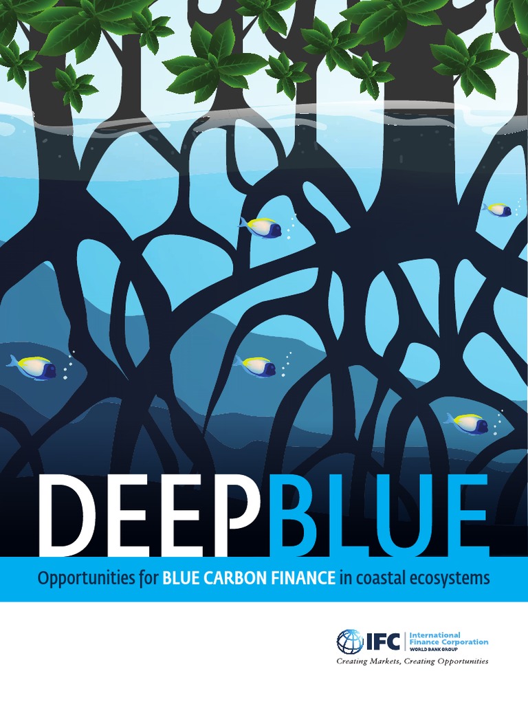 IFC 2023 - DeEP BLUE - Opportunities For Blue Carbon Finance in Coastal ...