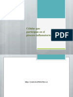 Células Que Participan en El Proceso Inflamatorio