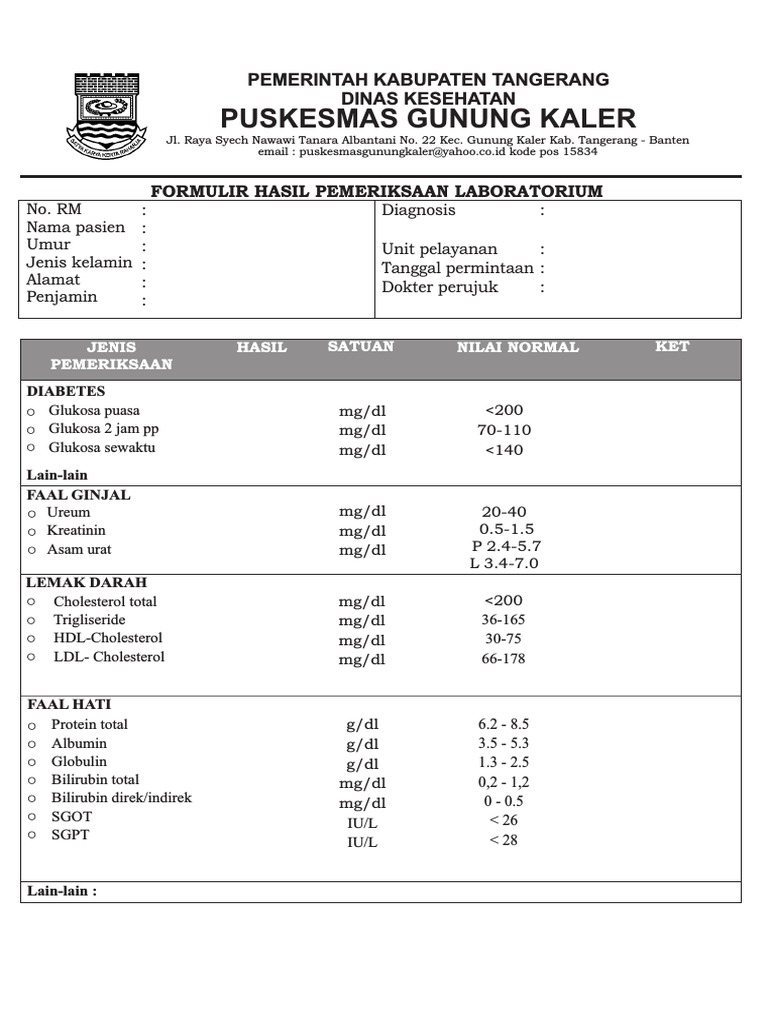 Formulir Hasil Pemeriksaan Laboratorium | PDF