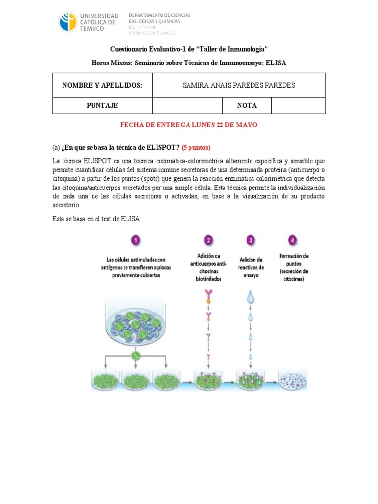 ELISA | PDF | Elisa | Anticuerpo