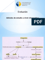 Clase 8 Citogenética Evolutiva
