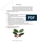 Defenisi - Ciri2 - Contoh&gambar - Classis Gnetinae