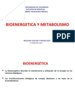 Clase Bioenergetica y Metabolismo V