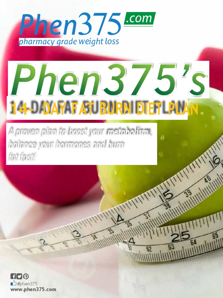 14-day-fat-burn-diet-plan-1-pdf-dieting-weight-loss
