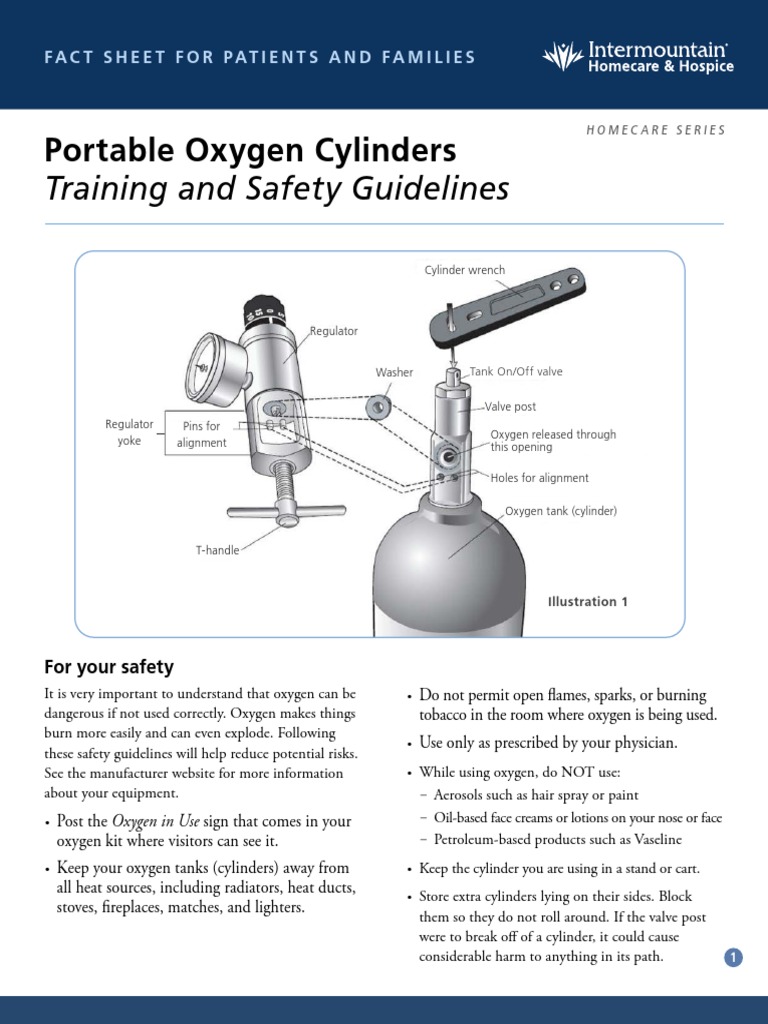 Portable Oxygen Cylinder Safety Guide | PDF | Valve | Gases